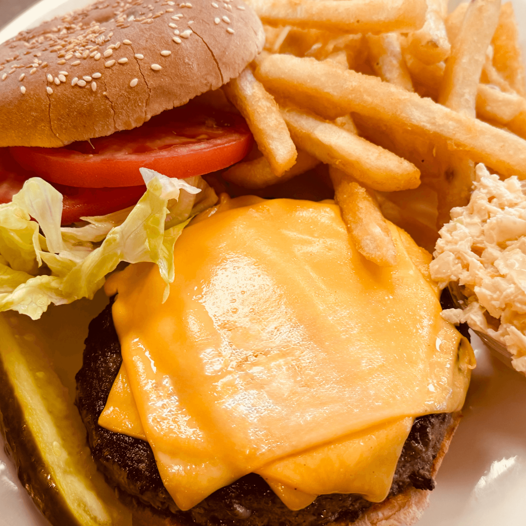 Cheeseburger or Hamburger W/ Fries.